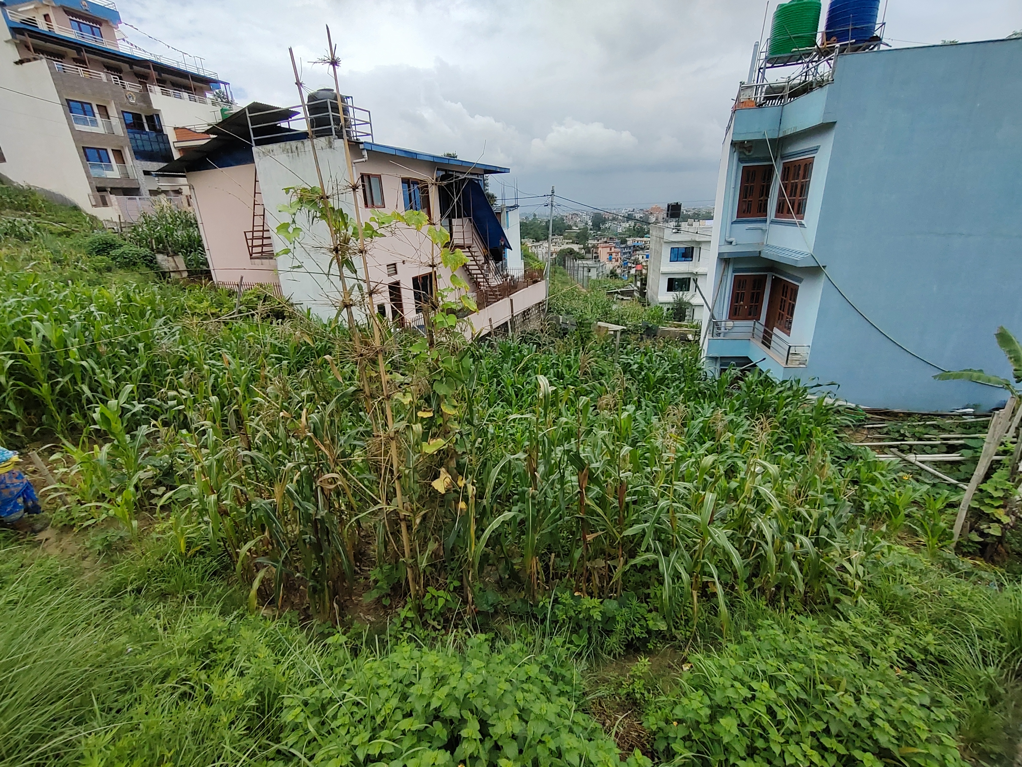 Picture of Budhanilkantha Municipality, Bagmati